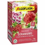 Geranium fertilizers, flowers of beds and balconies - Algoflash Naturasol - 1 kg