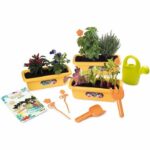 scp planters