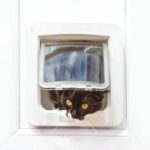 Sureflap Large Chatiere with connected electronic chip - white - 178 mm x 170 mm (delivered without the hub) - Image 4
