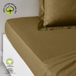 Fitted sheet - TODAY - 180 x 200 cm + 30 cm - Cotton - Organic Bronze