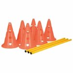 TRIXIE Set of 3 Obstacle activities - Ø 23 × 30 cm - 78 cm - Orange and yellow - For dog – Bild 2