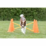 TRIXIE Set of 3 Obstacle activities - Ø 23 × 30 cm - 78 cm - Orange and yellow - For dog – Bild 3