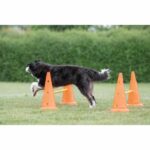 TRIXIE Set of 3 Obstacle activities - Ø 23 × 30 cm - 78 cm - Orange and yellow - For dog – Bild 4
