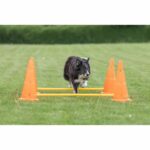 TRIXIE Set of 3 Obstacle activities - Ø 23 × 30 cm - 78 cm - Orange and yellow - For dog – Bild 6