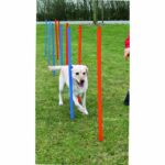 TRIXIE Agility Course Slalom Poles 115 cm 12 pcs Plastic - Image 2