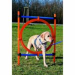 TRIXIE Dog Agility Hoop 115 x 3cm Plastic - Image 2