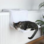 Cat radiator hammock