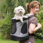 TRIXIE Timon dog backpack - Image 3