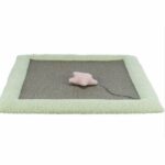 Junior scratching mat - TRIXIE - 47 x 47 cm - Grey / Mint