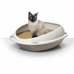 AIME Oval litter box with removable rim - 57 x 40 x 19 cm - For cats - Image 2