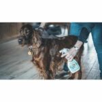 Vetocanis Anti-Puaces, Anti-Tiques and Anti-Mosquitoes-For Dog-500 ml – Bild 5