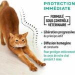 VETOCANIS 4 Anti-flea and anti-tick pipettes - For Cat - 4x 1 month protection - Image 5