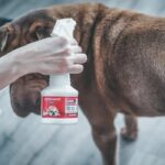 VETOSOIN Anti-parasitic, anti-flea and anti-tick spray with Fipronil - 250 ml - For cats and dogs - Image 2