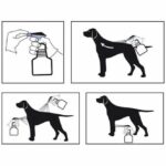VETOSOIN Anti-parasitic, anti-flea and anti-tick spray with Fipronil - 250 ml - For cats and dogs - Image 3