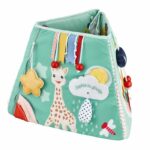 Sophie the Giraffe multi-sided activity board