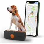 GPS tracker for dogs - Weenect XS (Black Edition 2023) – Bild 2