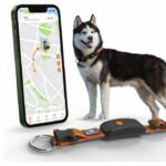 GPS dog collar - WEENECT Dog XT - XL antenna - Waterproof - Julius-K9 collar - Works with subscription - Orange - Image 2