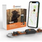 GPS dog collar - WEENECT Dog XT - XL antenna - Waterproof - Julius-K9 collar - Works with subscription - Orange