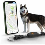 GPS dog collar - WEENECT Dog XT - XL antenna - Waterproof - Julius-K9 collar - Works with subscription - Black - Image 2