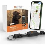 GPS dog collar - WEENECT Dog XT - XL antenna - Waterproof - Julius-K9 collar - Works with subscription - Black