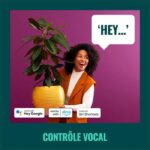 WIZ Wall Light - Connected - Classic Outdoor - Image 5