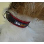 YAGO Soft and Adjustable Black and Red Leather Collar for medium dogs, size M 34-43 cm - Image 3