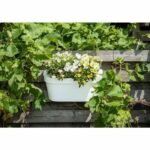 Planter + hook - GARDEN ID Star - White 50 x 21 cm - Easy fixing - Water reserve - recycled and 100% recyclable - Image 2