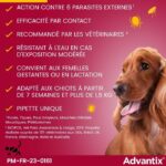 ADVANTIX 4 antiparasitic pipettes - For very small dogs from 1.5 to 4kg - Image 5