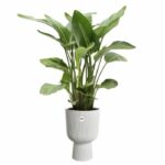 Flower pot - Elho - Vibes Fold Coupe - White - L 30 x W 29.5 x H 45 cm - Indoor - 100% recycled - Image 5