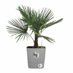 ELHO - Flowerpot - Greensense Aqua Care Square 38 - Light Cement - Indoor/outdoor - Ø 38 x H 38.9 cm - Image 3