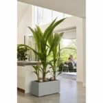 Elho Vivo Next Long 60 Flower box - Gray - L 59 x B 30 x H 29 cm - indoor/outdoor - 100% recycled - Image 4