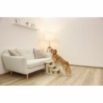 Pet Stairs - KERBL - Easy Climb 2.0 - 45 x 35 x 34 cm - Up to 50 kg - Image 4