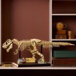 LEGO Jurassic World 76968 Dinosaur Fossils: Tyrannosaurus Rex - For Adults - Image 3