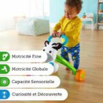 FISHER-PRICE - My Speaking Zebra Walker - 6 months and up - Image 4