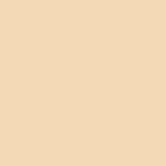 RIPOLIN EXTREME PROTECTION FACADE STONE TONE Matte 10 L - Image 2