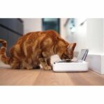SUREFLAP Automatic Food Dispenser - SureFeed hermetic bowl - for cats and small dogs - Image 3