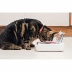 SUREFLAP Automatic Food Dispenser - SureFeed hermetic bowl - for cats and small dogs - Image 6