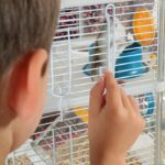 Zolux cage on 2 floors for hamsters, mouse and gerbilles - rudy3 duo - l 41 x D 27 x h 40.5 cm - white - Image 2