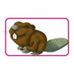 ASMODEE - Concept kids - Children's board game – Bild 3