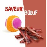 Dog Ball - AIMÉ - 5 in 1 Beef Flavor - Image 6