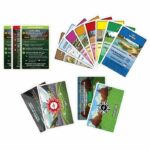 Pokémon Monopoly, board game, 2 to 4 players, games for children and Pokémon fans, approx. 45 minutes, ages 8 and up - Image 5