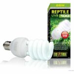UVB compact fluorescent bulb for terrarium - EXO TERRA - Reptile UVB 100 - Tropical and subtropical climate 26W - Image 2