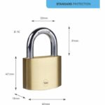 Brass padlock - YALE - Y110B/60/132/1 - 60 mm - Hardened steel shackle - 3 keys - For access hatches, chains, ladders, gates - Image 3
