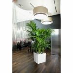 Planter - Cube premium 40 - Complete kit - Glossy white - 31 L - LECHUZA - Image 2
