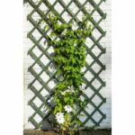 Nature Garden Trellis 50 x 150 cm Wood Green