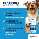 VETOCANIS PLAK FIGHTER TOOTHPASTE WITH CROQ 30COMP - Image 2