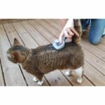 VETOCANIS Retractable and self-cleaning card brush - To remove dead hair - For cat - Image 5