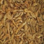 AIME Main food Gammarus shrimps - For turtles - 1l - Image 3