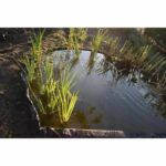 NATURE Borderfix Borderfix PVC Border and Garden Basin - Thickness 7 mm - H 14 cm x 15 m - Image 2