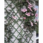 Green Plastic Expandable Lattice - 50x150cm - Image 2